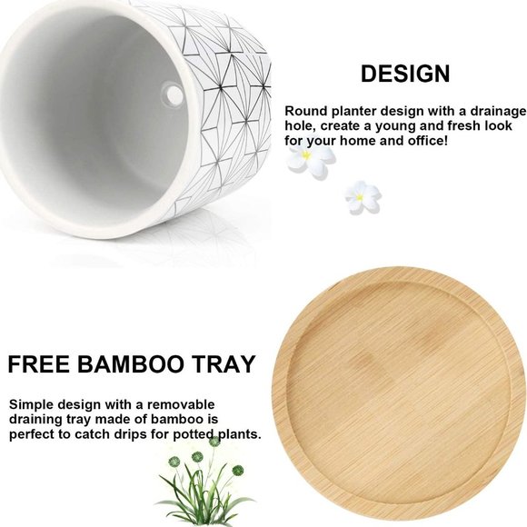 3 Inch Geometric Succulent Planter Pots with Drainage and Bamboo Tray - Picture 13 of 14